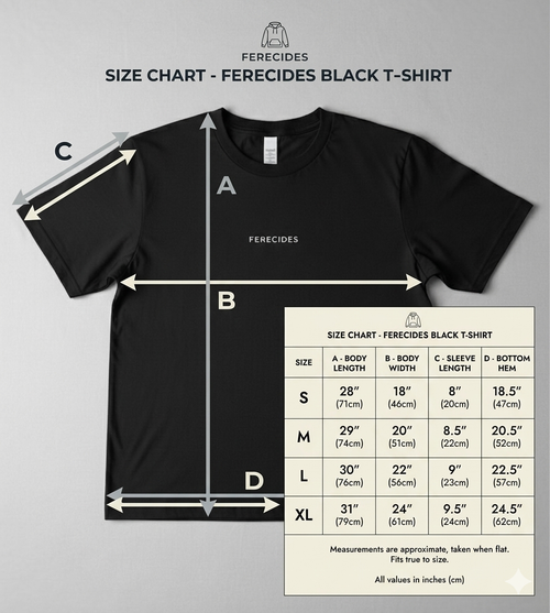 FERECIDES Minimalist T-Shirt - Black.